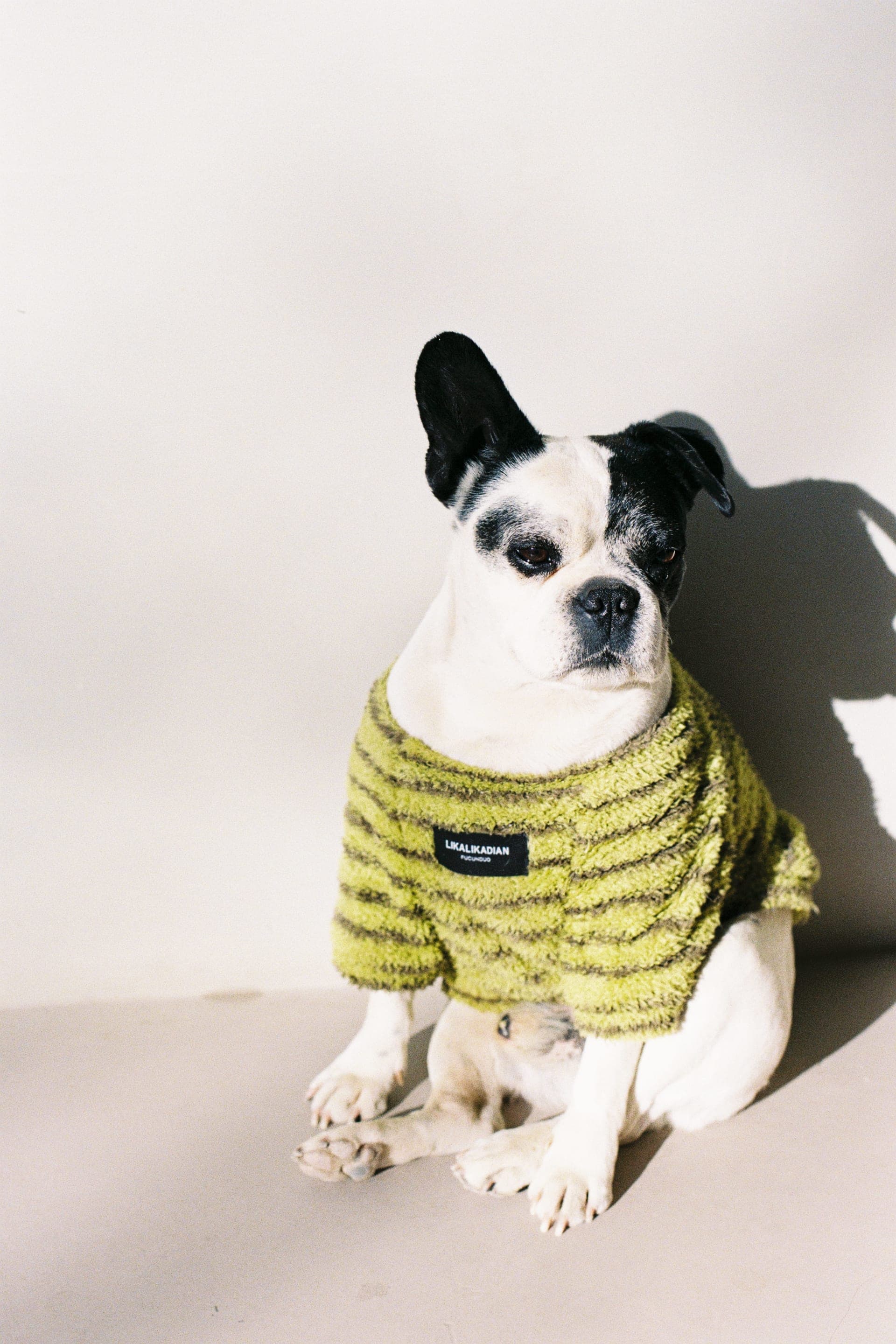 photography works of unimu