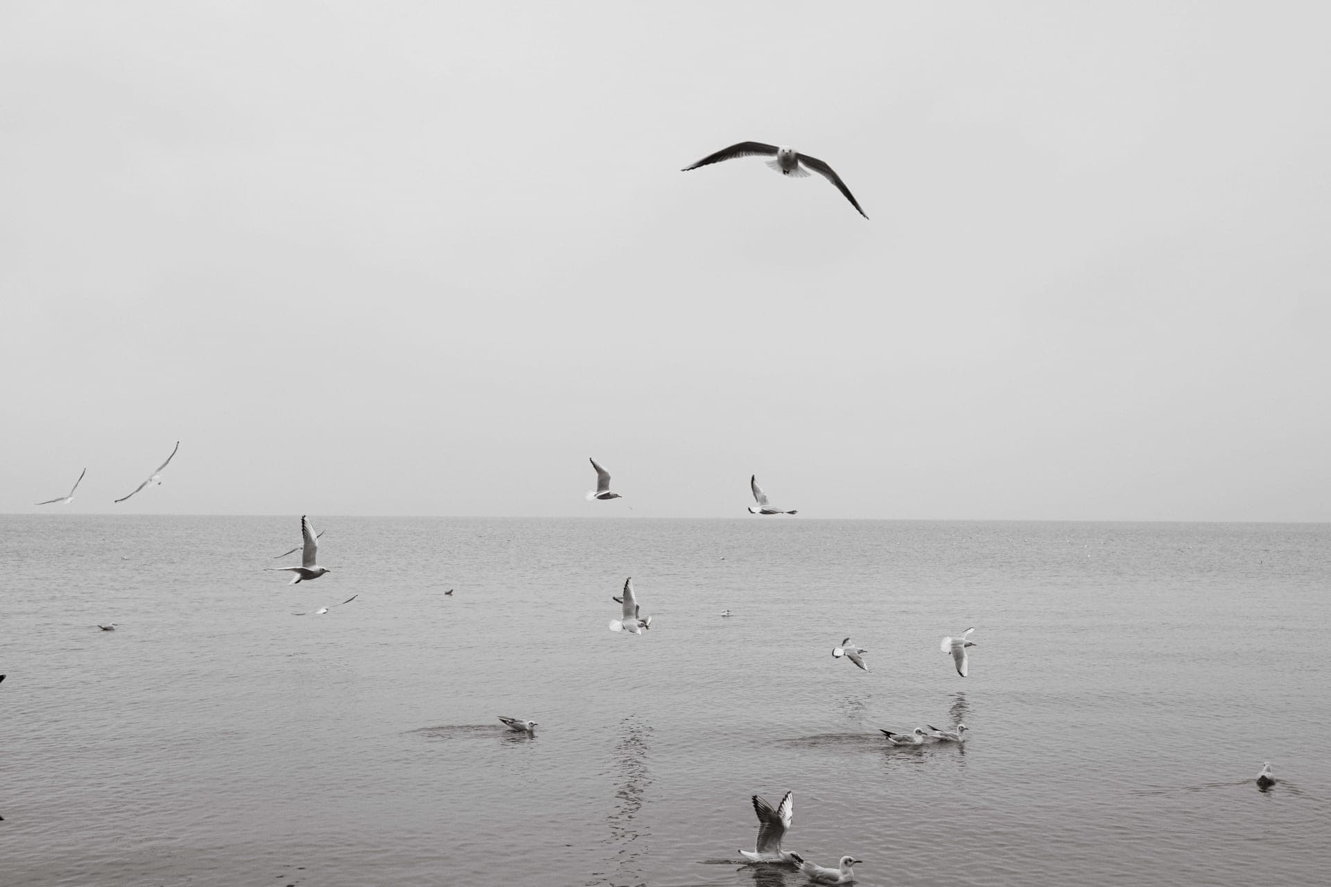 photography works of unimu