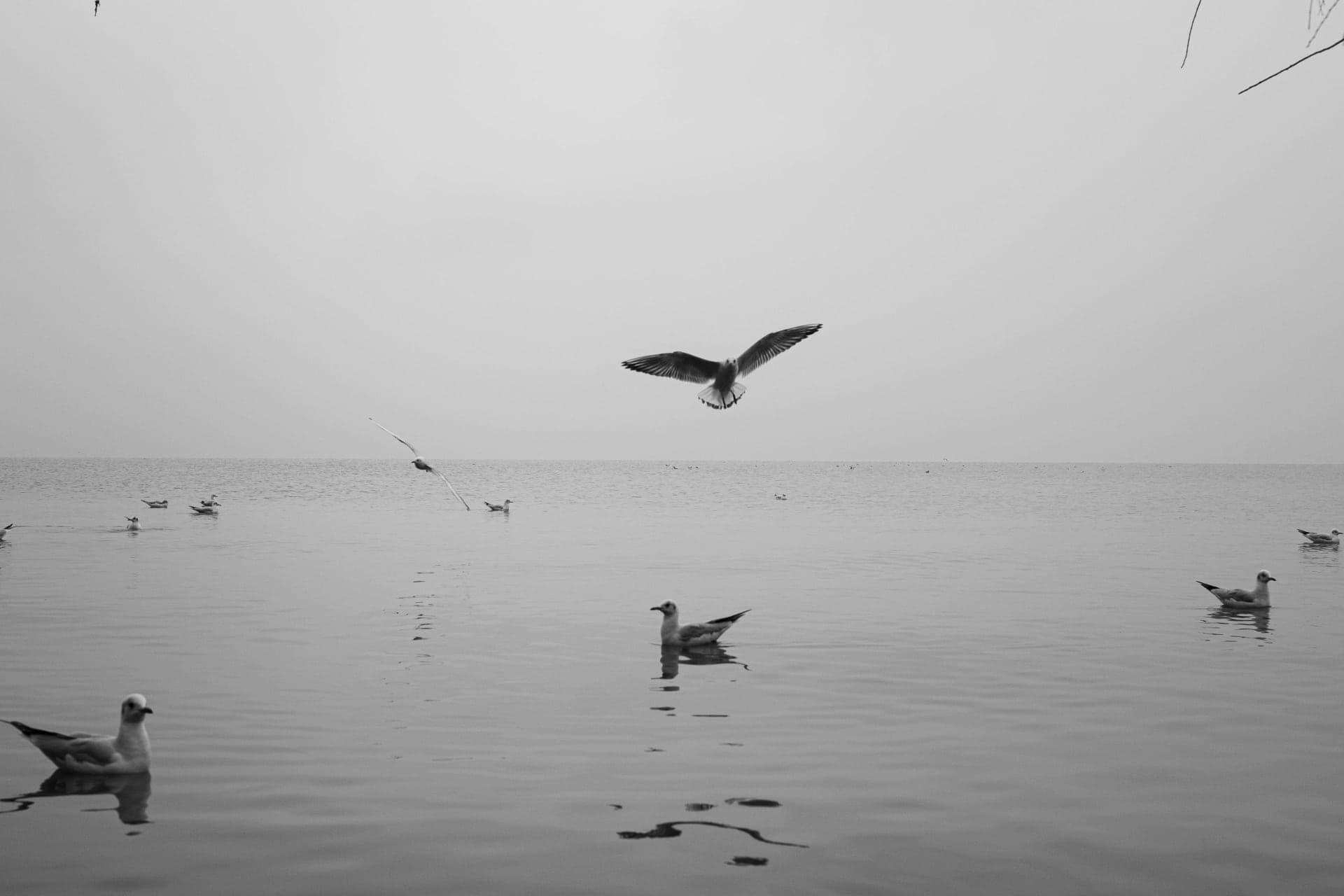 photography works of unimu