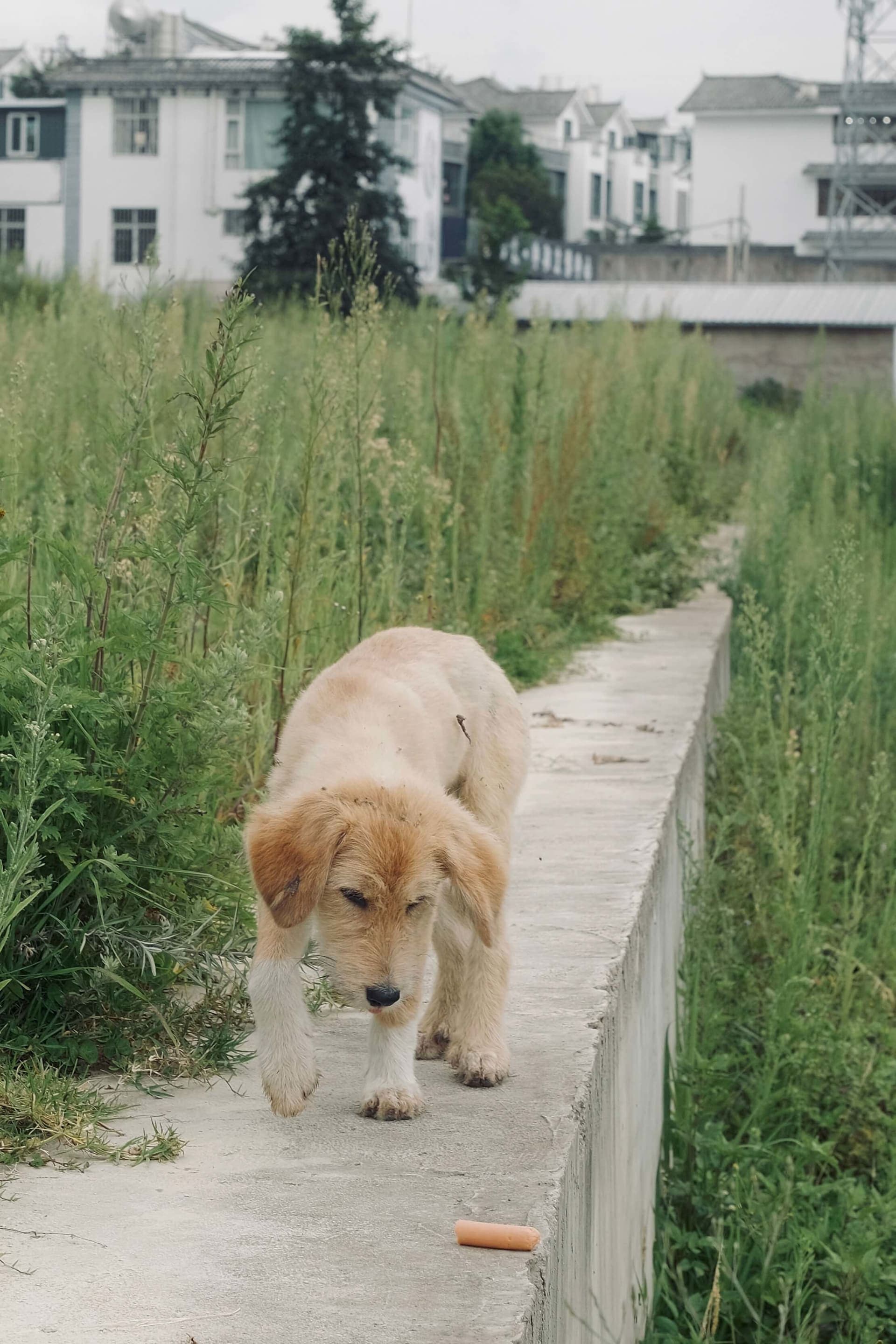 photography works of unimu