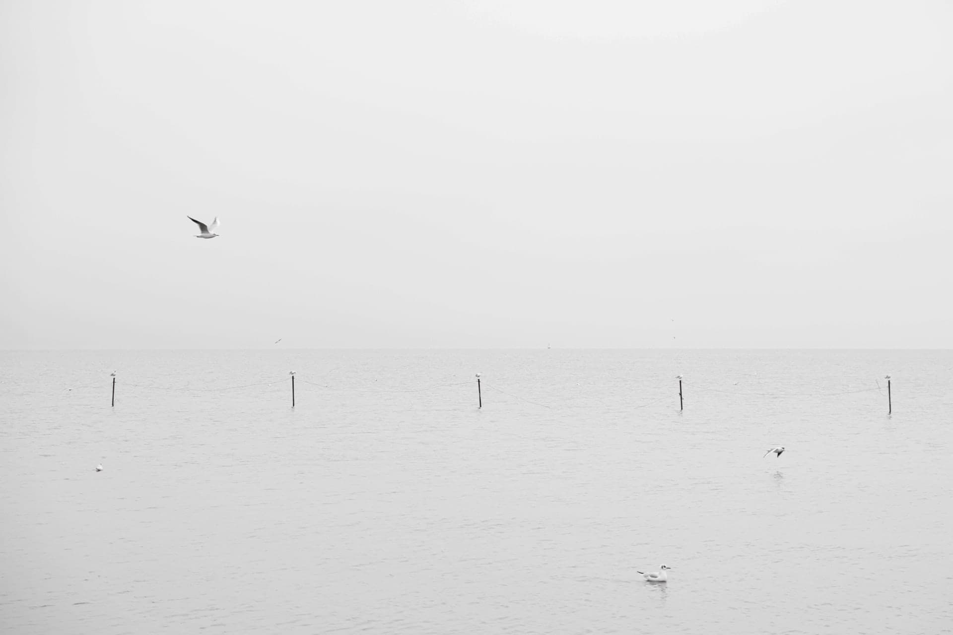 photography works of unimu