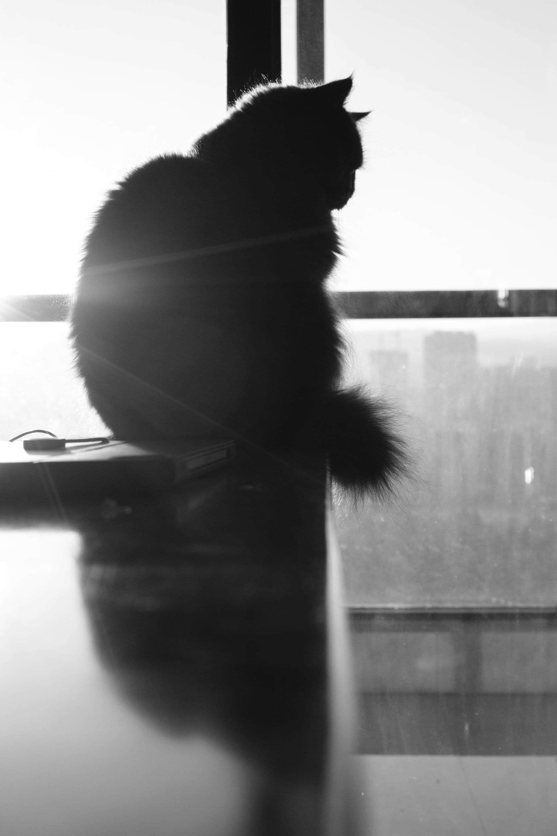 photography works of unimu