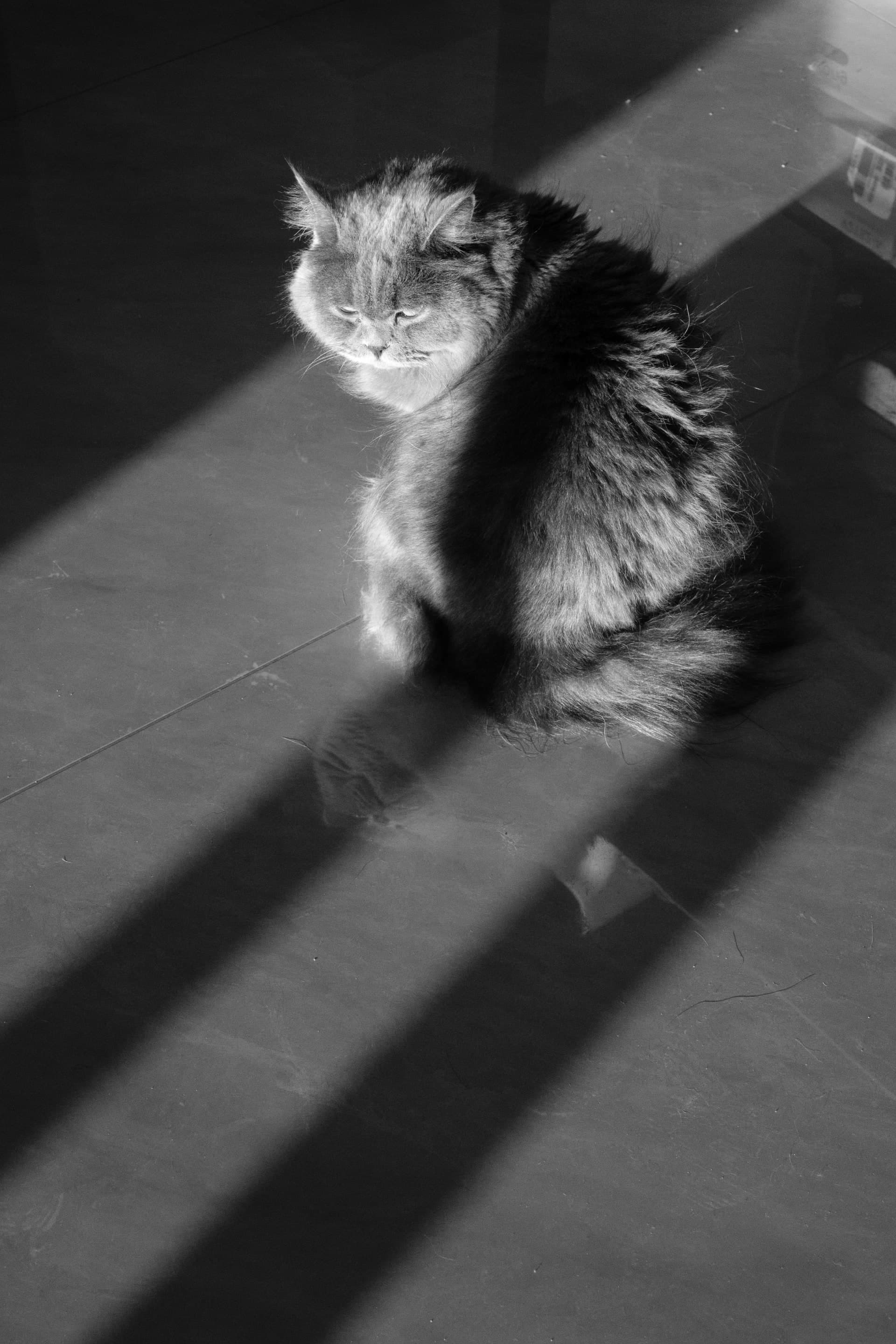 photography works of unimu