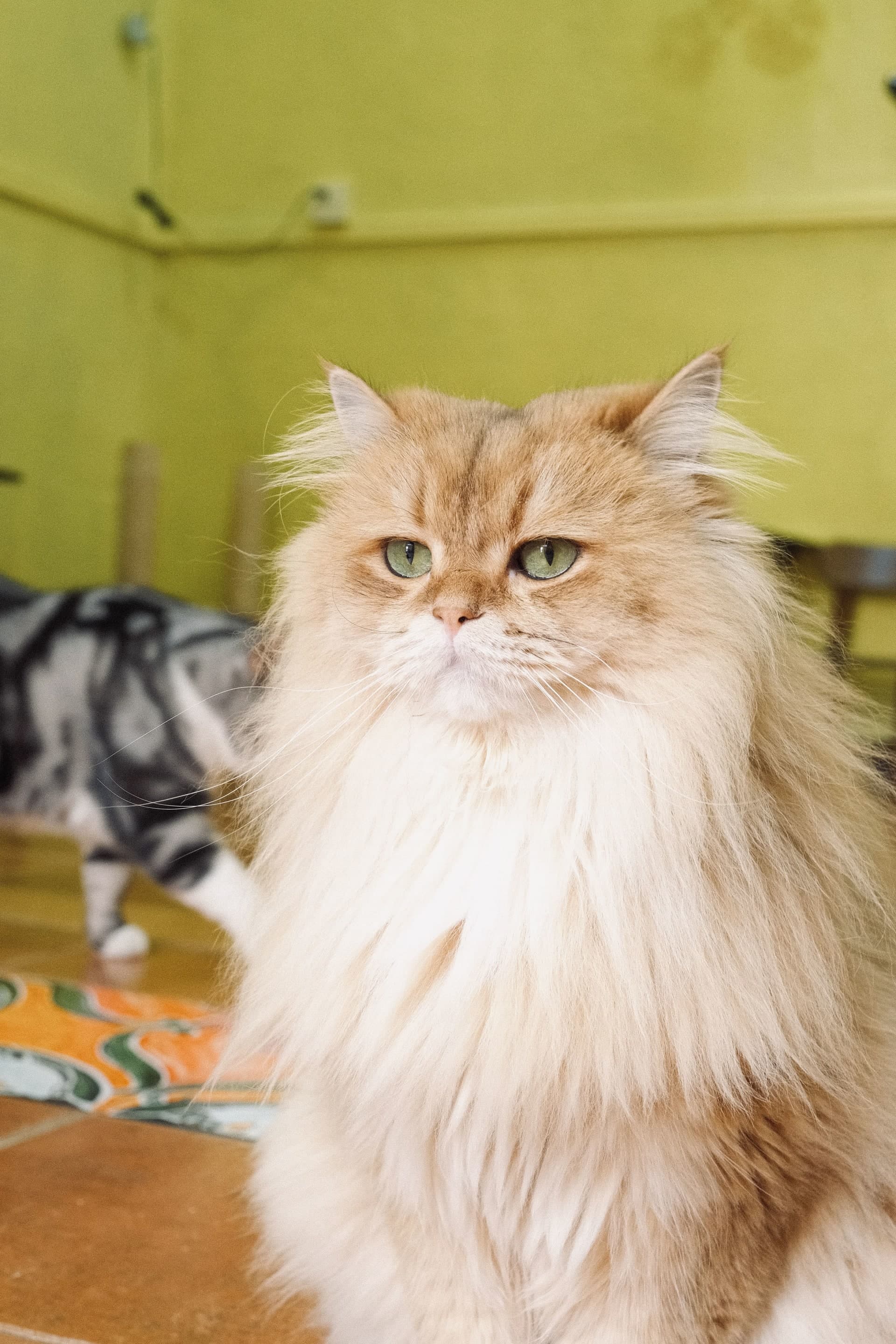 photography works of unimu