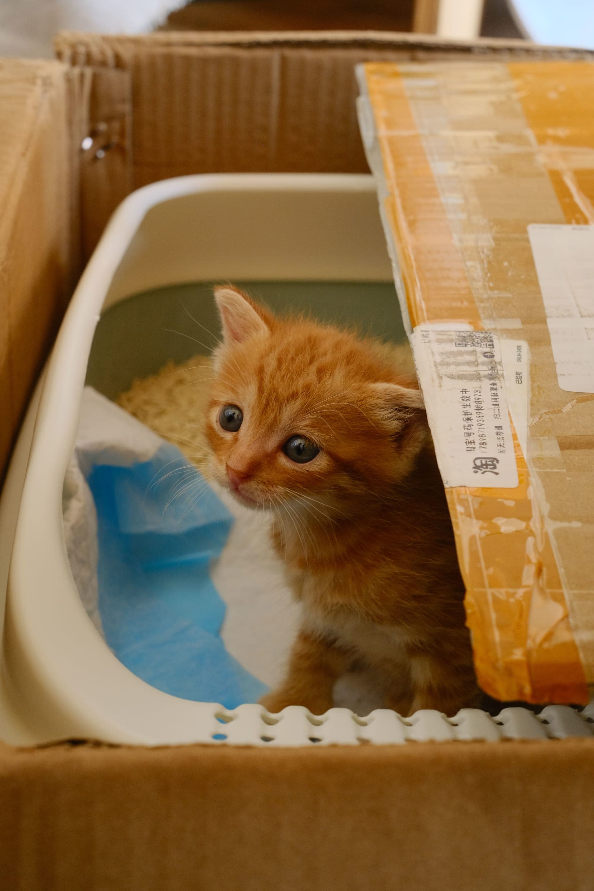 photography works of unimu