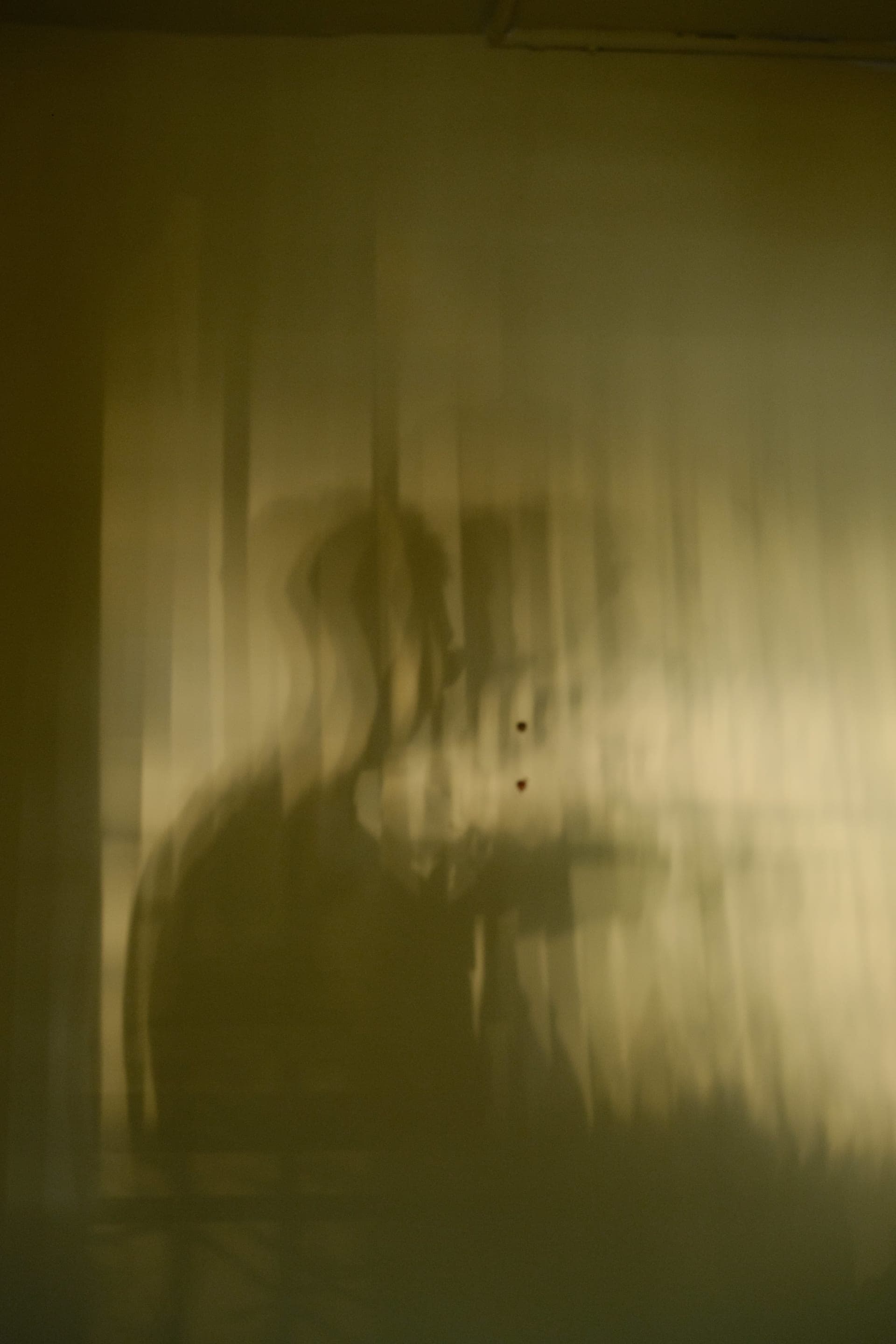 photography works of unimu