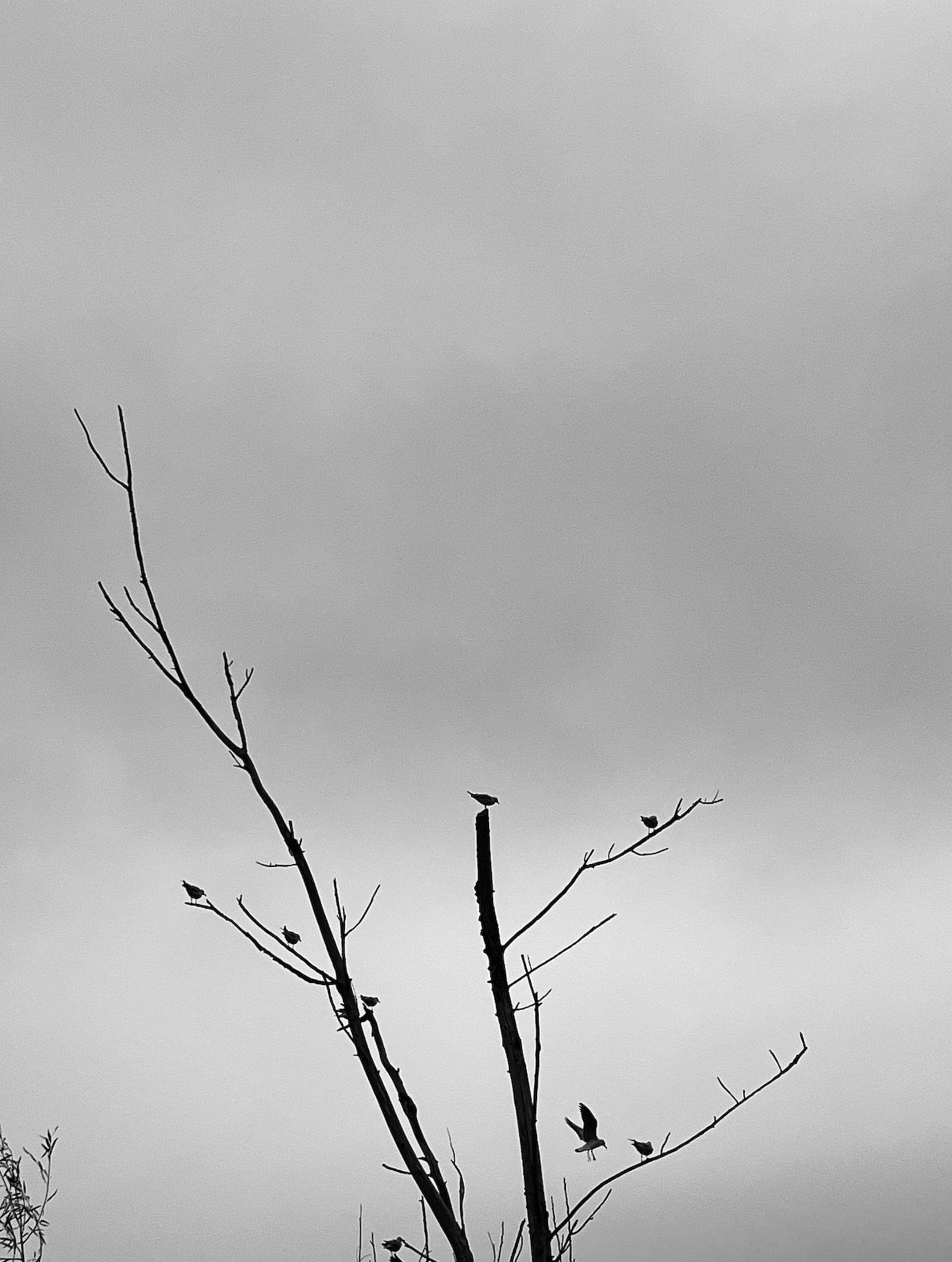 photography works of unimu