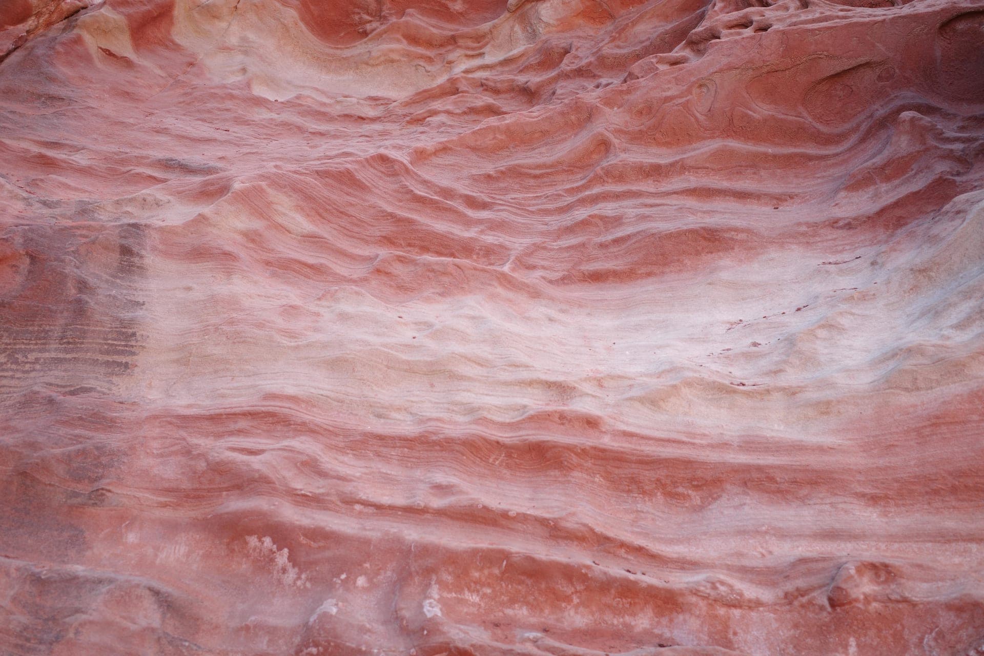 photography works of unimu