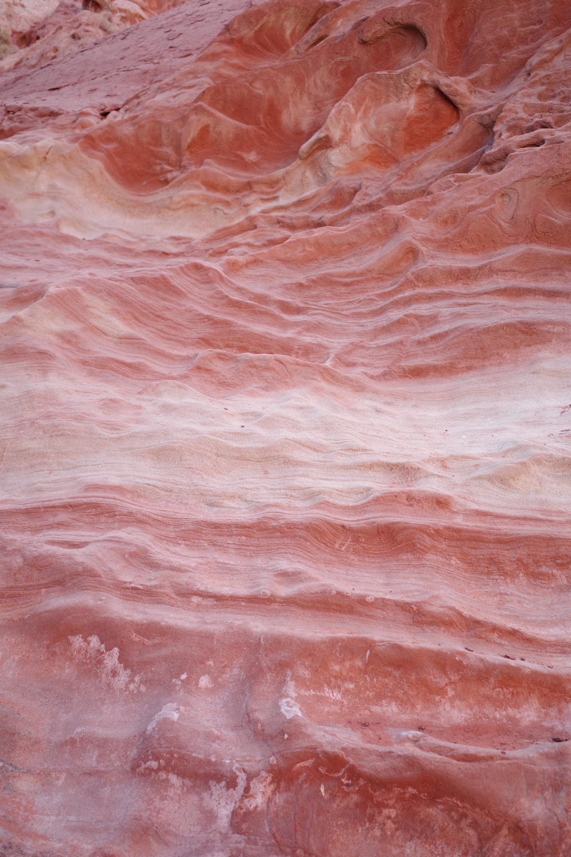 photography works of unimu