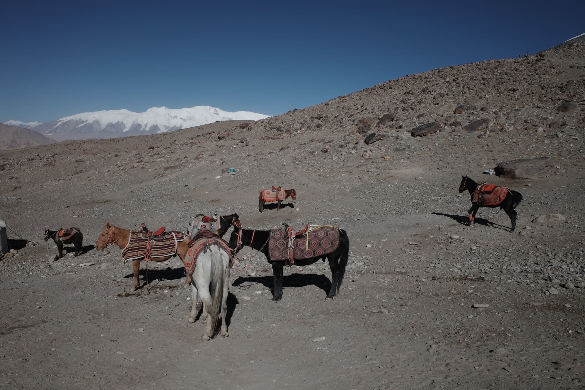 photography works of unimu