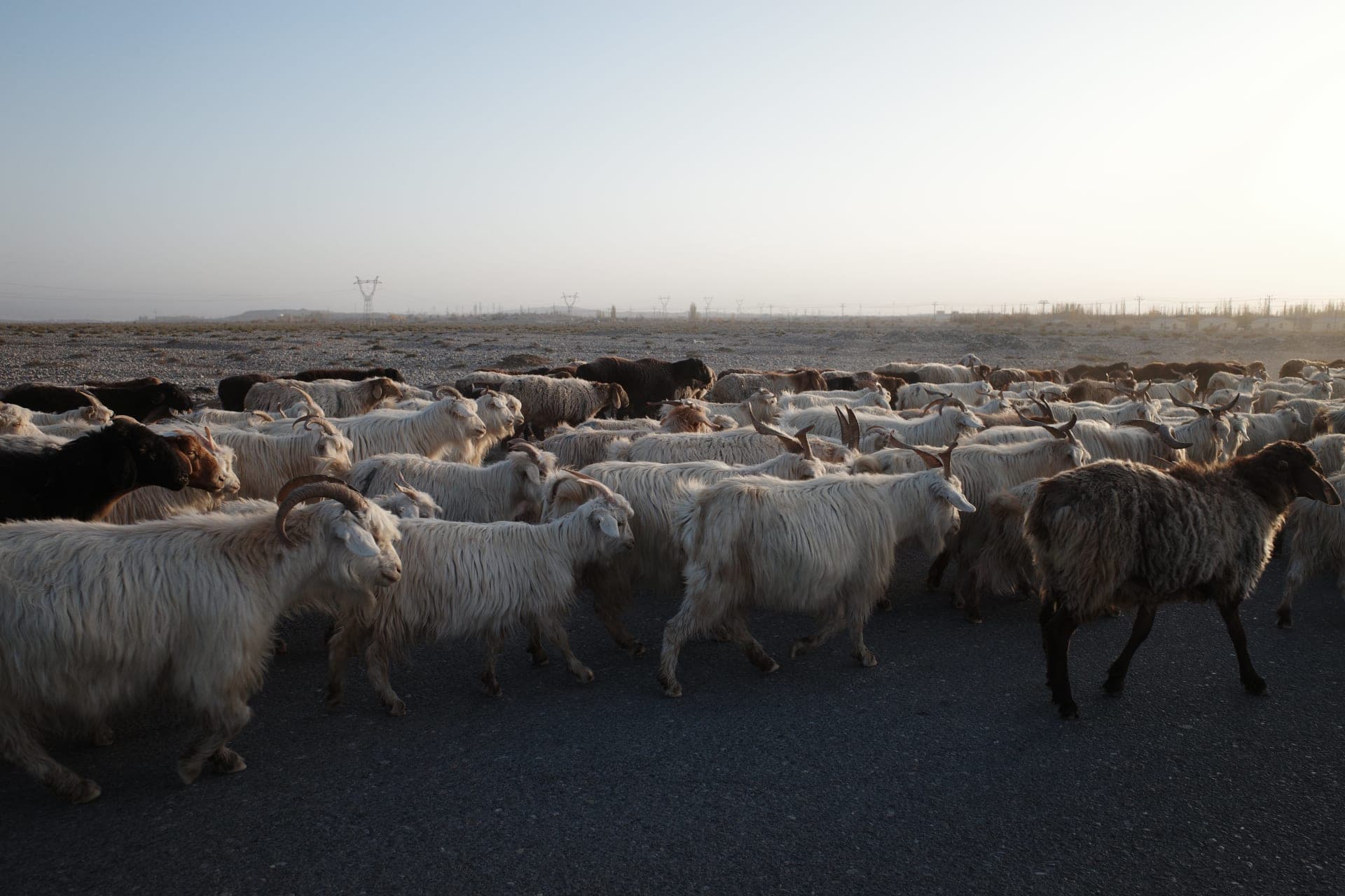 photography works of unimu