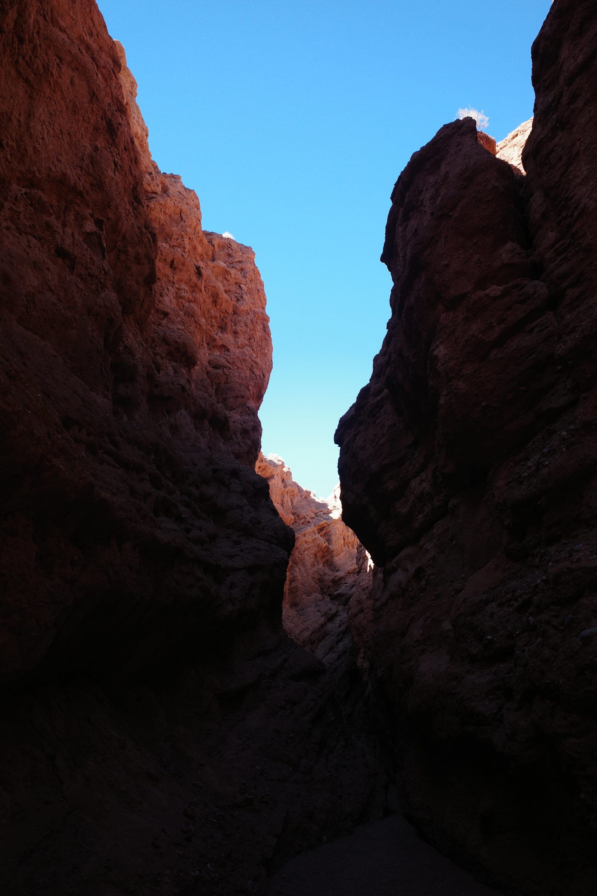 photography works of unimu