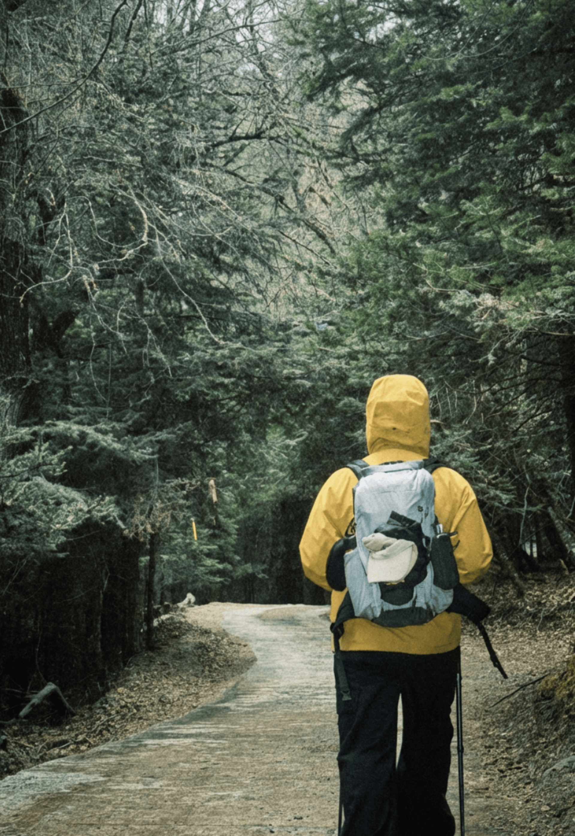 photography works of unimu